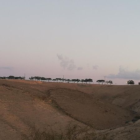 Desert Sunrise Arad 호텔 외부 사진